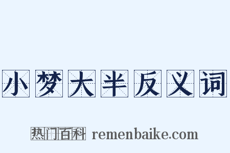 小梦大半反义词是什么意思的图片